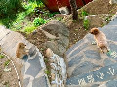 -北京水岸山吧度假村(雁栖镇店)