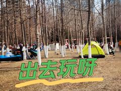 -长白岛森林公园