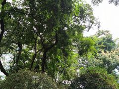-绵阳人民公园(涪城区)