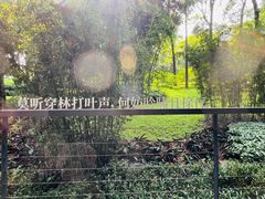 -云溪植物园