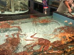 水产区-尚海豆捞(乐虹坊店)