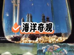 -南昌海洋公园