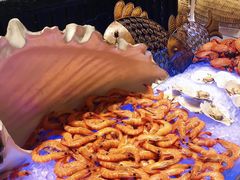 -常州武进九洲喜来登酒店