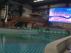 -南宫温泉水世界