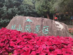 -赭山公园