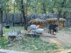 -北京野生动物园