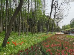 -东平国家森林公园