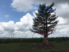 -塞罕坝国家级自然保护区