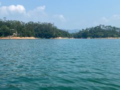 -广州市流溪河国家森林公园