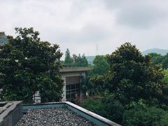 -宁波九龙湖开元度假村
