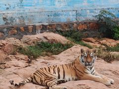 -西霞口神雕山野生动物世界