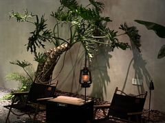 -J Create城市露营咖啡·简餐·宠物(上海动物园店)