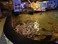 -烟台海昌鲸鲨海洋公园