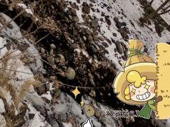 -关门山森林公园