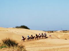 -银肯塔拉沙漠生态旅游景区