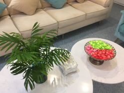 -痘院长·祛痘·皮肤管理