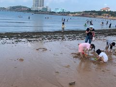 -青岛第二海水浴场