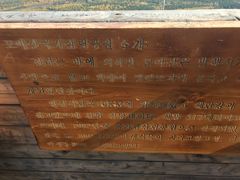 -帽儿山国家森林公园