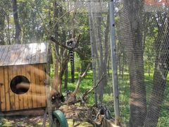 -哈尔滨北方森林动物园