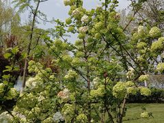 -天鹅湖体育公园