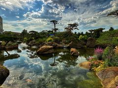 -罗红摄影艺术馆