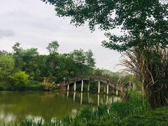 -白鹭湾湿地公园