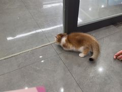 -贝利宠物医院·骨科·眼科·肿瘤转诊中心(南坪诊疗中心)