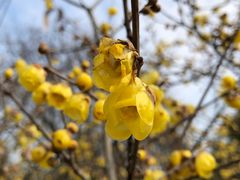 -白塘生态植物园