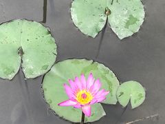 -华南国家植物园-售票处