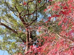 -浙江省博物馆(孤山馆区)