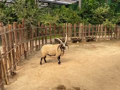 -呀路古热带植物园