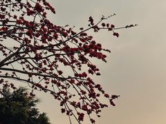 -广州市番禺中心医院(主院区)