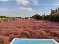 -嘉北郊野公园