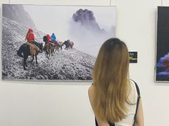 -宁波美术馆