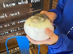 -永安鱼庄·镇江菜(丁卯店)