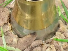 -撒拉人家.酸菜牦牛肉火锅