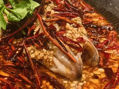 -大张烙馍村(泉山店)