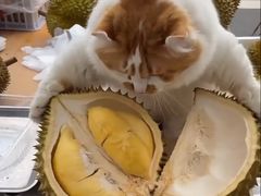 -全而廉(靖宇中路店)