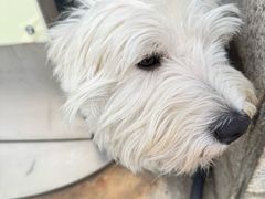 -苏州河梦清园环保主题公园