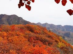 -幽岚山·童话森林
