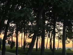 -顺承小院儿