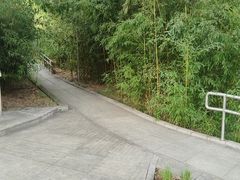 -南长河公园