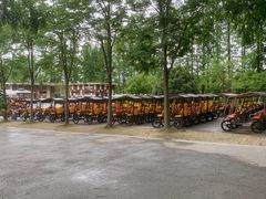 -黄海国家森林公园