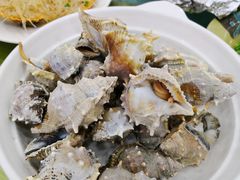 生灼野生海螺-景好海鲜餐厅(大鹏必选旅游店)