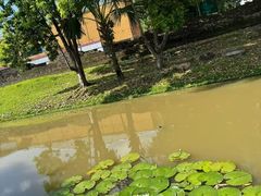 -大象粑粑造纸公园