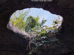 -沈阳植物园