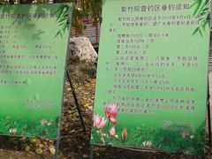 -紫竹院公园冰场
