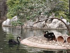 -昆明动物园
