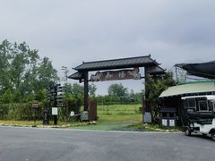 -合肥滨湖国家森林公园
