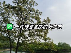 -丁香湖公园